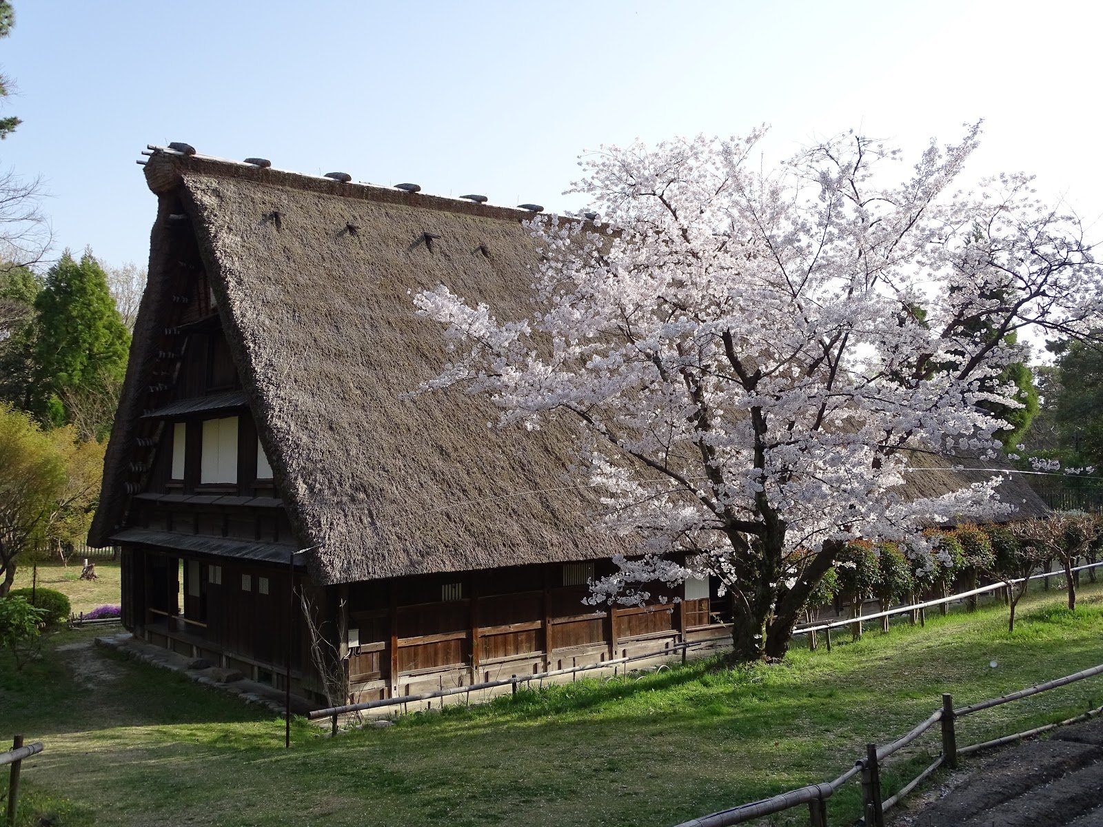 🏛️ 일본 민가 집락 박물관 (니혼민카슈라쿠하쿠부츠칸) 이미지 4